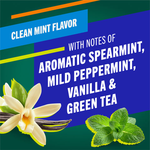 clean mint flavor with notes of aromatic spearmint, mild peppermint, vanilla and green tea
